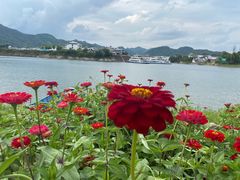 -新安江山水画廊风景区