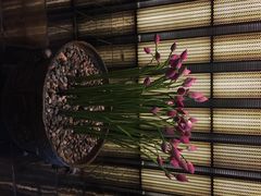 璞丽酒店-上海璞麗酒店
