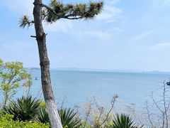 -海源公园