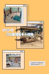 -萌宠亲子动物乐园(槐房万达店)