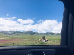 -青海湖国家重点风景名胜区