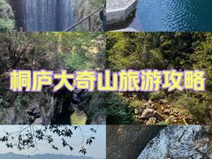 -大奇山国家森林公园