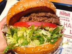 火烤双层牛肉特堡-The Habit Burger Grill 哈比特汉堡(复兴soho店)