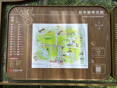 -东平国家森林公园