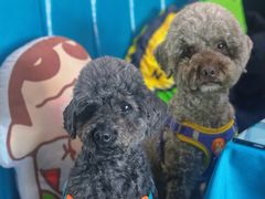 -My Way Town买味堂·东南亚餐厅(亦庄店)