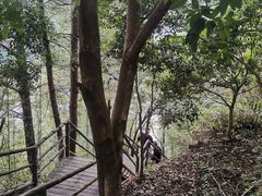 -东天目山风景区