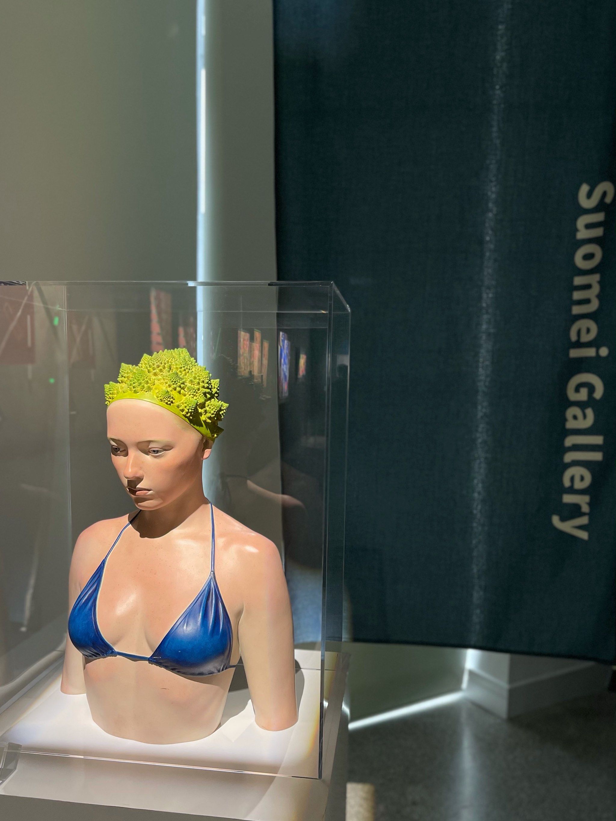 与大师同行の万物生&索美画廊新空间展示