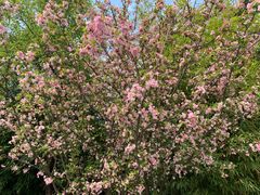 -天龙八部武侠城