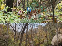 -大岭沟猕猴桃谷风景区