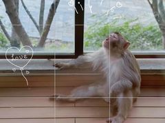 -苏州环秀晓筑养生度假村