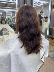 -藤野造型