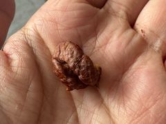 -正源安吉白茶特产享购商场(安吉店)