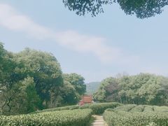 -西湖风景区十里琅珰-五云山