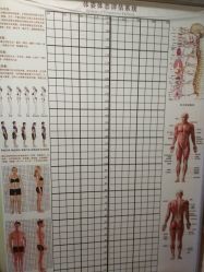 -亮丽妈妈·催乳通乳·产后恢复(万达店)