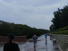 -宝安西湾红树林湿地公园