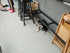 -柚下次·关东煮