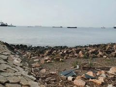 -上海滨江森林公园