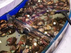 鲜活鲍鱼-澜悦港海鲜体验主题餐厅