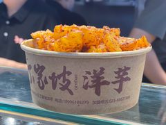 -周小亮丁家坡洋芋(全国总店)