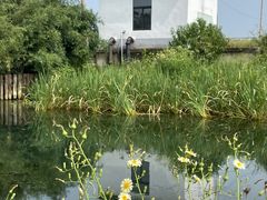 -喜洋洋蟹庄(阳澄湖店)