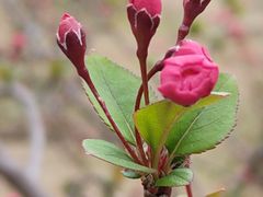 -白塘生态植物园