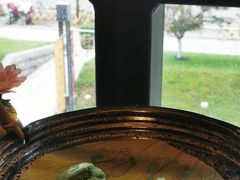 -大拙里·精致融合菜(沙湖桃源国际店)