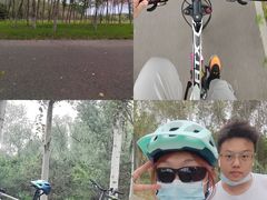 -东郊湿地公园