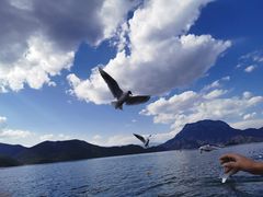 -丽江泸沽湖景区