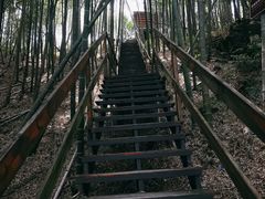 -宁波浙东大竹海景区