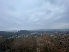 -上海佘山国家森林公园西佘山园