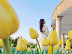 -长春公园(普阳街道)