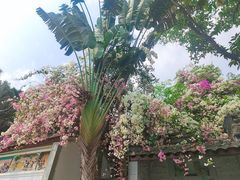 -深圳国际园林花卉博览园