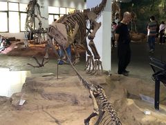 -自贡恐龙博物馆