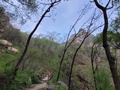 -大岭沟猕猴桃谷风景区