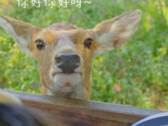 -良渚古城遗址公园