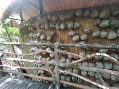 -海南槟榔谷黎苗文化旅游区