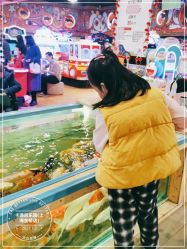 -卡通尼·Safari非洲探索乐园·生日会(金桥国际商业广场店)