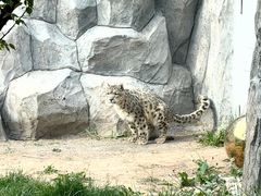 -青藏高原野生动物园