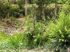 -翠茗农庄土菜馆(天目湖店)