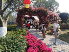 -东莞植物园