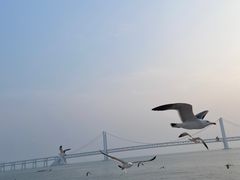-星海广场