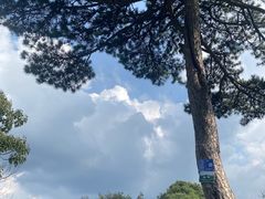 -秦岭终南山世界地质公园翠华山景区