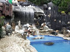-100蛋泥浆浴