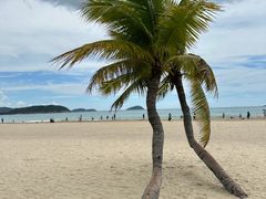 -三亚亚龙湾天域度假酒店