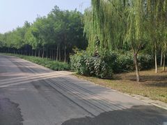 -西青郊野公园