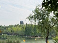-宜兴龙背山森林公园