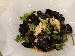 -洞庭家宴·头牌甲鱼(广渠门店)