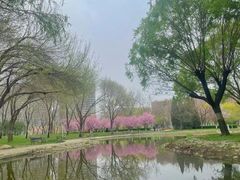 -泰丰公园