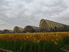 -中国天府农业博览园