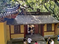 -普陀山风景名胜区-法雨禅寺